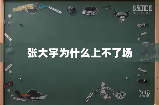 张大宇为什么上不了场