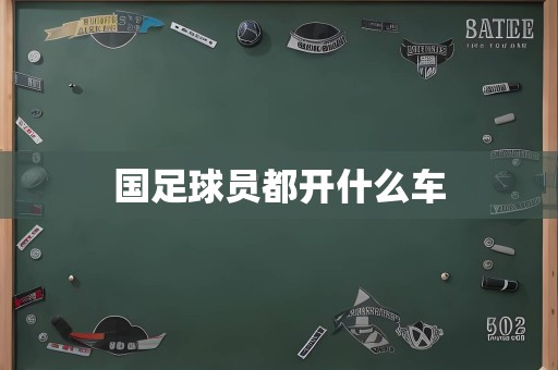 国足球员都开什么车