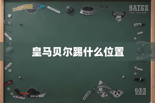 皇马贝尔踢什么位置