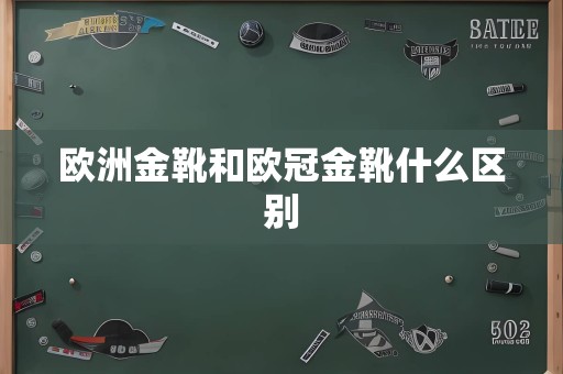 欧洲金靴和欧冠金靴什么区别