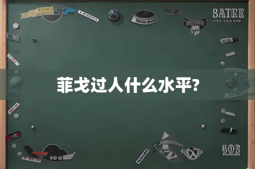 菲戈过人什么水平?