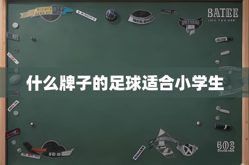 什么牌子的足球适合小学生