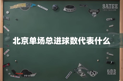 北京单场总进球数代表什么