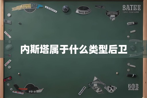 内斯塔属于什么类型后卫