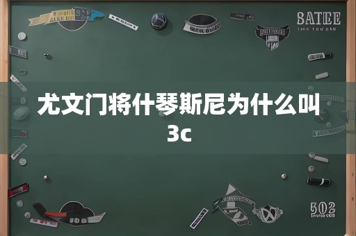 尤文门将什琴斯尼为什么叫3c