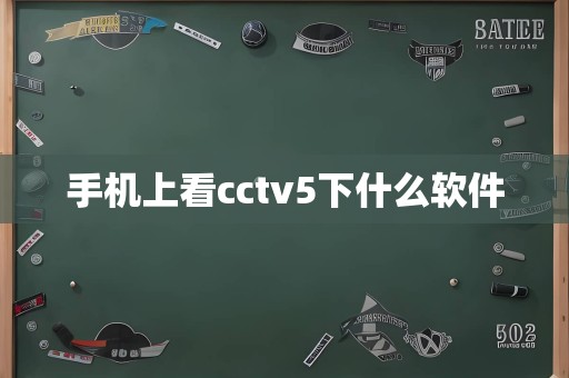 手机上看cctv5下什么软件