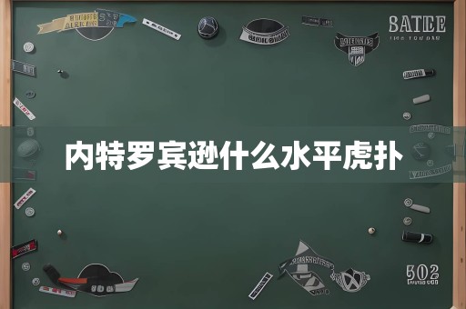 内特罗宾逊什么水平虎扑