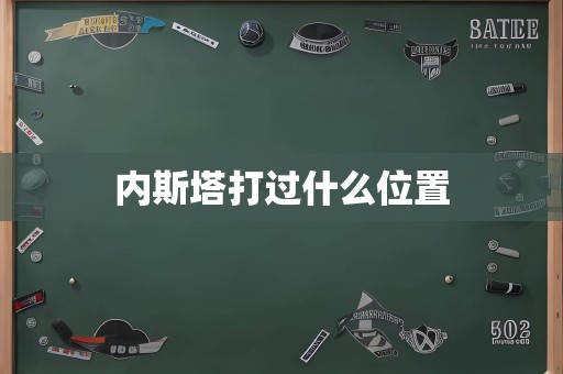 内斯塔打过什么位置