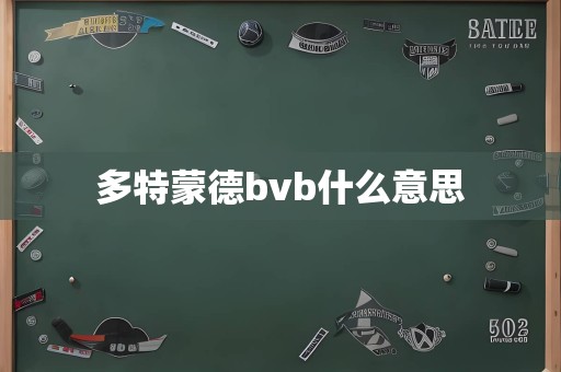 多特蒙德bvb什么意思