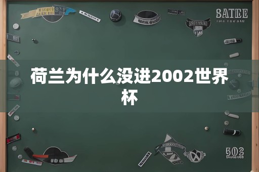 荷兰为什么没进2002世界杯