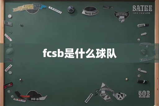 fcsb是什么球队