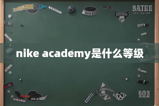 nike academy是什么等级