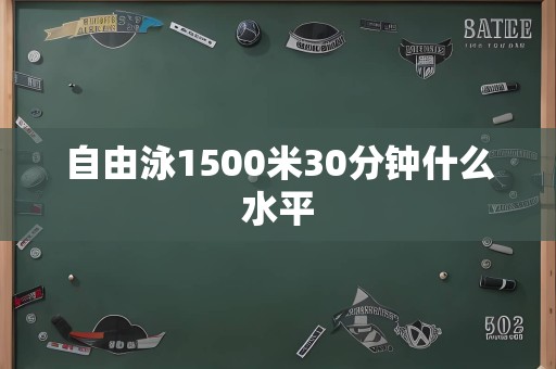 自由泳1500米30分钟什么水平