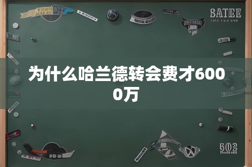 为什么哈兰德转会费才6000万