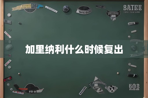 加里纳利什么时候复出