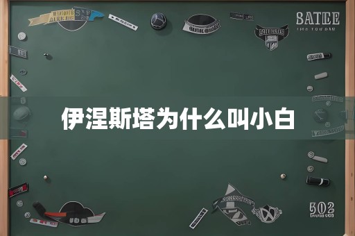 伊涅斯塔为什么叫小白