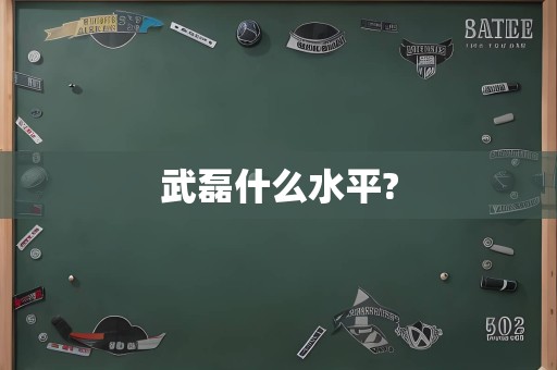 武磊什么水平?