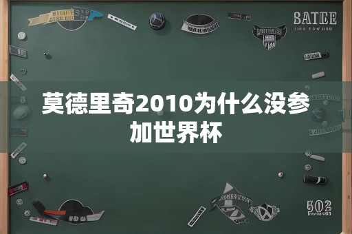 莫德里奇2010为什么没参加世界杯