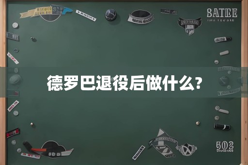 德罗巴退役后做什么?