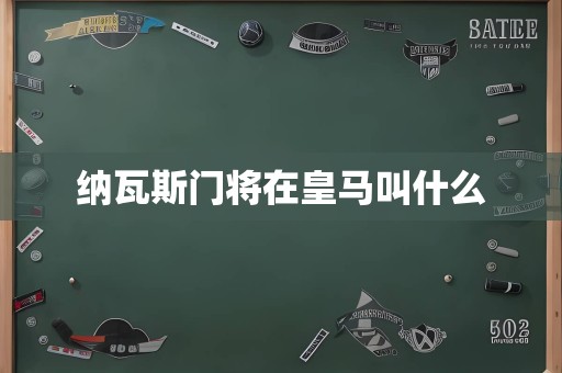 纳瓦斯门将在皇马叫什么