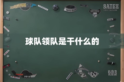 球队领队是干什么的