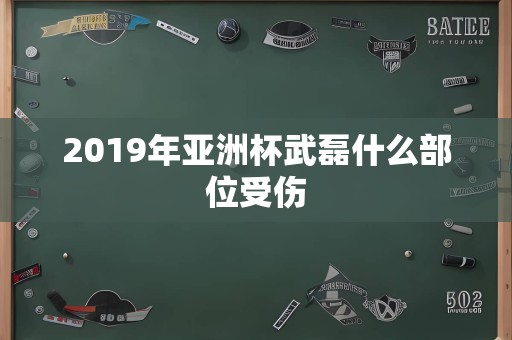 2019年亚洲杯武磊什么部位受伤