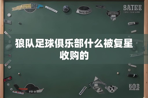 狼队足球俱乐部什么被复星收购的