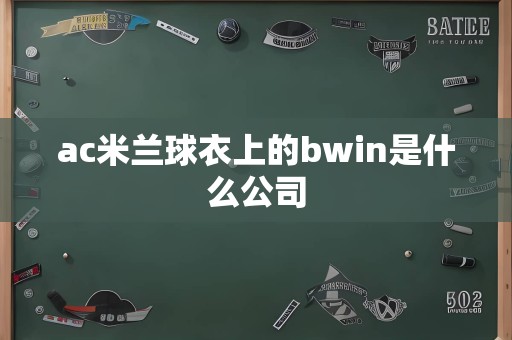 ac米兰球衣上的bwin是什么公司