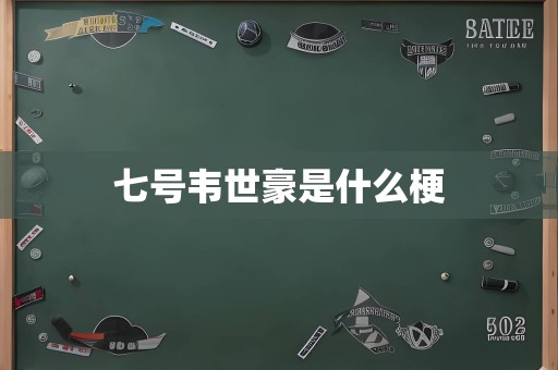 七号韦世豪是什么梗