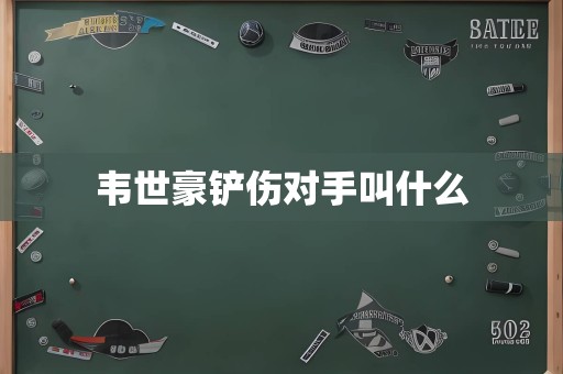 韦世豪铲伤对手叫什么