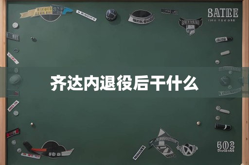 齐达内退役后干什么