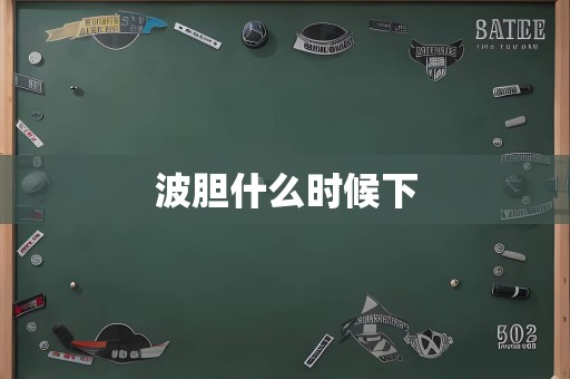 波胆什么时候下