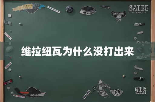 维拉纽瓦为什么没打出来