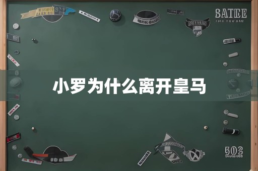 小罗为什么离开皇马