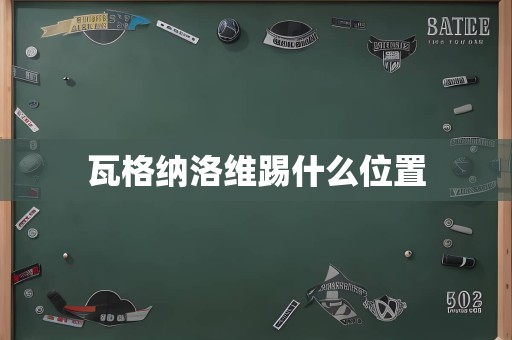 瓦格纳洛维踢什么位置