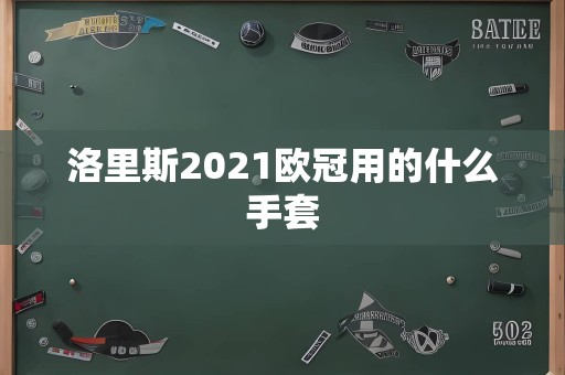 洛里斯2021欧冠用的什么手套