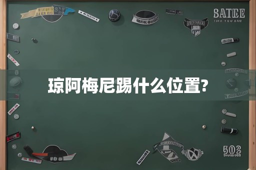 琼阿梅尼踢什么位置?