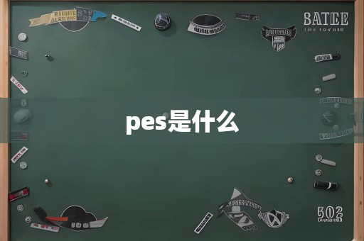 pes是什么