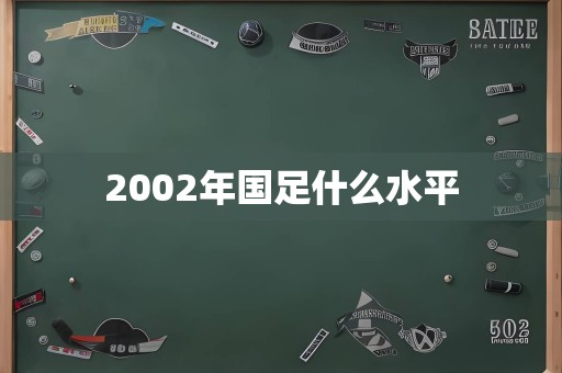 2002年国足什么水平