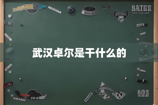 武汉卓尔是干什么的