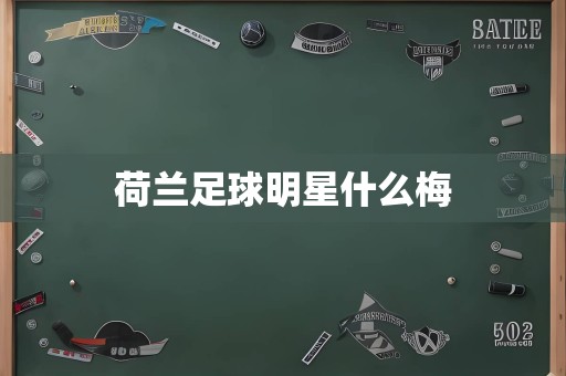 荷兰足球明星什么梅