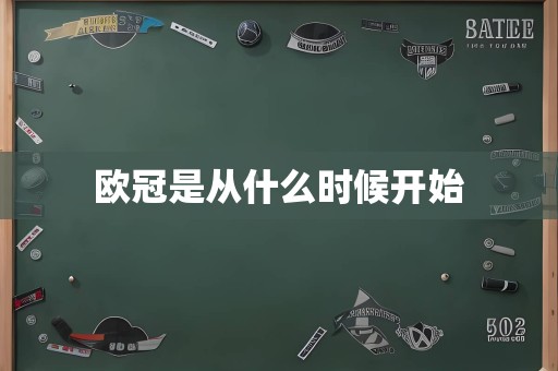 欧冠是从什么时候开始