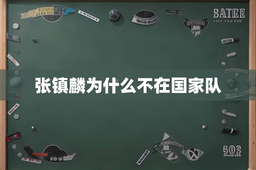 张镇麟为什么不在国家队
