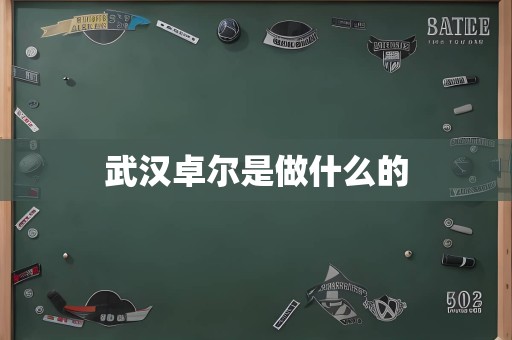 武汉卓尔是做什么的