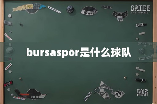 bursaspor是什么球队