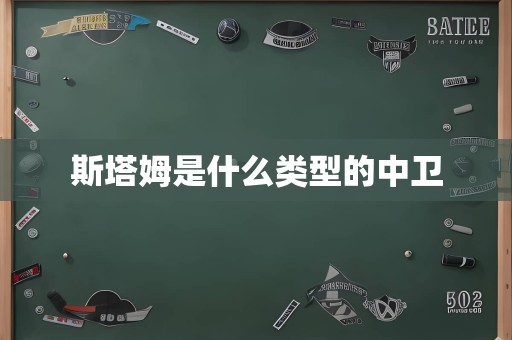 斯塔姆是什么类型的中卫