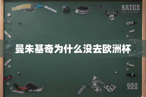 曼朱基奇为什么没去欧洲杯