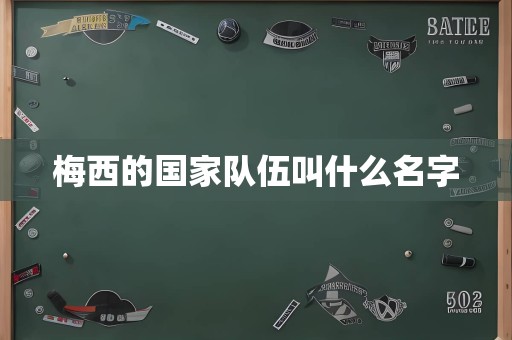 梅西的国家队伍叫什么名字