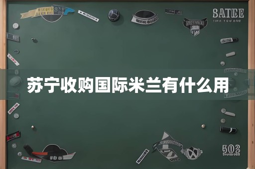 苏宁收购国际米兰有什么用