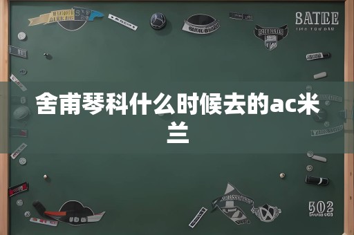 舍甫琴科什么时候去的ac米兰